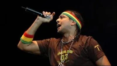 ♪ "Oh lord, gal I got the right tactics to turn you on, and girl I, 
Wanna be the Papa, You can be the Mom, oh oh !" ♪
Quelle est l'île natale du chanteur Sean Paul ?