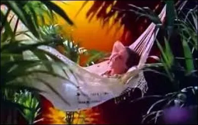 ♫ "Il tape sur des bambous et c'est numéro un. 
Dans son île on est fou comme on est musicien" ♫
Philippe Lavil est né le 26 septembre 1947 à Fort-de-France en...