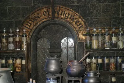 Qui est le prince de sang-mêlé ?