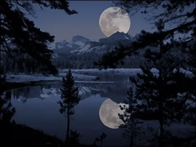 Je me réveille au beau milieu de la nuit et j'aperçois...