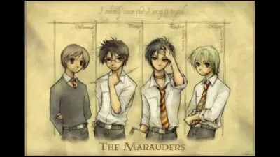 Les premiers jours passent. Des amis :