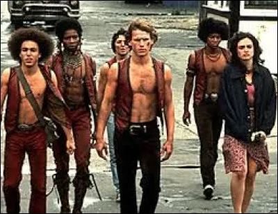 Quel est le titre de ce film am&eacute;ricain r&eacute;alis&eacute; par Walter Hill, sorti en 1979 ?