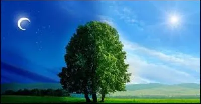 De qui le roman "Nuit et Jour" est-il ?