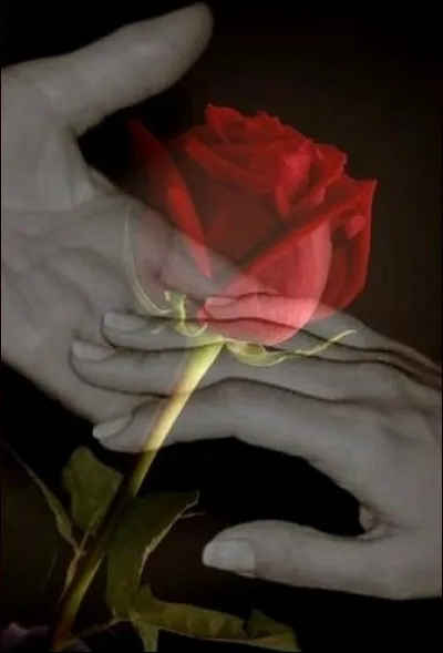 Qui chantait "Est-ce que j'en ai les larmes aux yeux que nos mains ne tiennent plus ensemble" ?