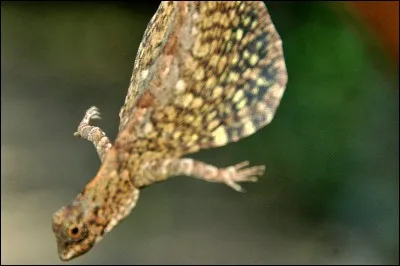 Money That's what I Want !