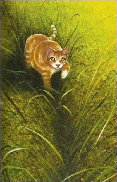 Qui est la compagne d'Étoile Solitaire ?