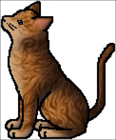 Combien de compagnes a Cœur d'Épines ?