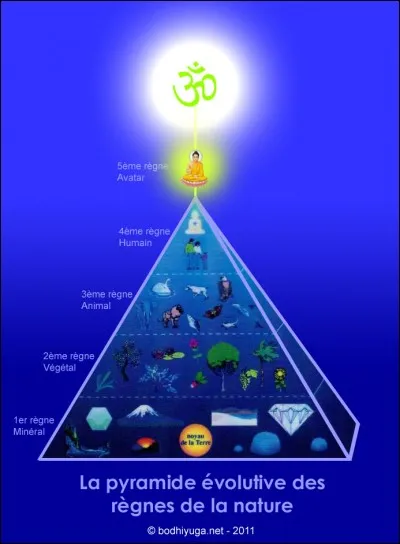 A quel élément du règne de la nature ce prénom doit-il sa racine latine ?