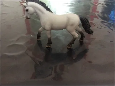 Quelle est la race de cet étalon ?