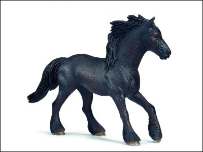 Quelle est la race de cette jument ?