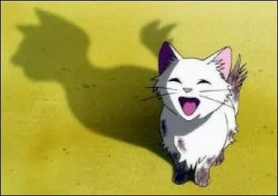 Dans le hors-séries "Le Secret de Croc Jaune", combien de chatons à Étoile Grise au début ?