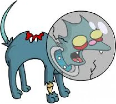 À quelle famille ce chat appartient-il ?