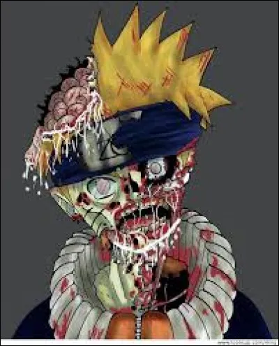 De quel manga est-il le héros principal ?