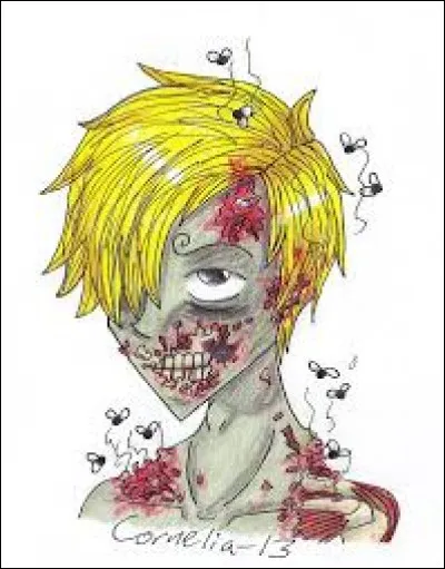 Dans quel manga peut-on voir Sanji ?