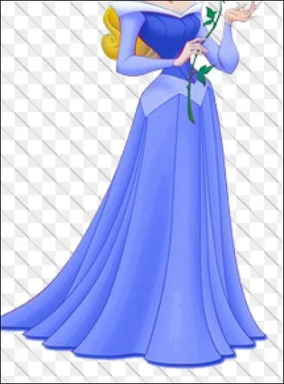 À quelle princesse appartient cette robe ?