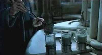 En quoi Hermione se retrouve-t-elle transformée après avoir bu la potion ?