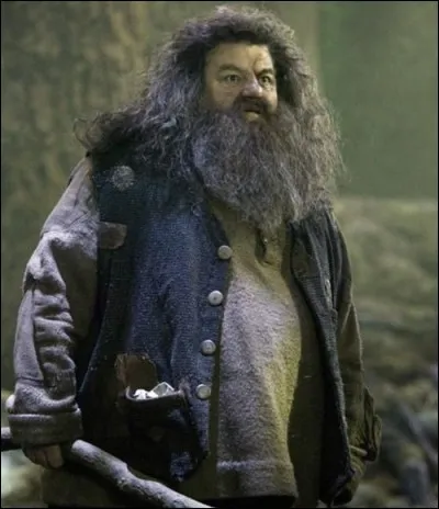 Où Hagrid est-il emmené après son arrestation ?