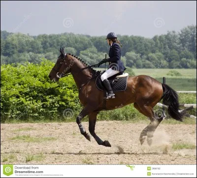 Que faut-il faire pour partir du trot au galop ?