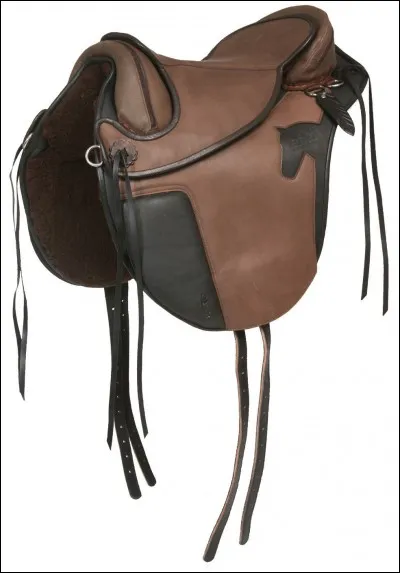 Laquelle de ces propositions ne fait pas partie de la selle ?