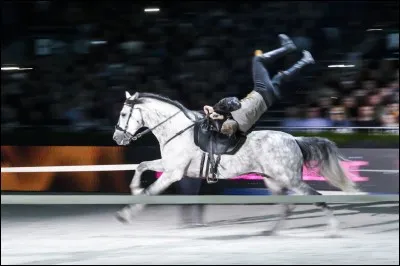 Le galop est une allure :