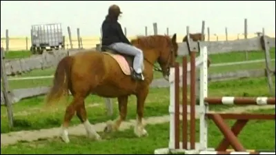 Le pas est une allure :