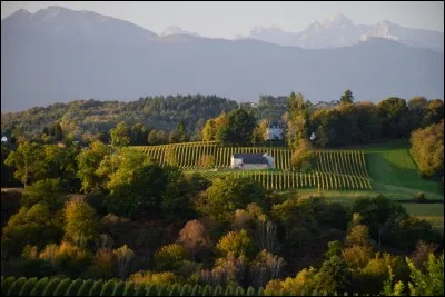 Vous devez vous rendre à Jurançon,dans quel département irez-vous ?