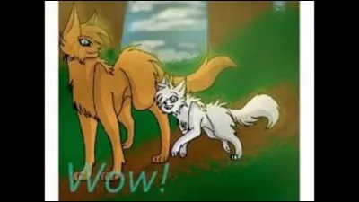 Qui est le neveu de Cœur de Feu ?