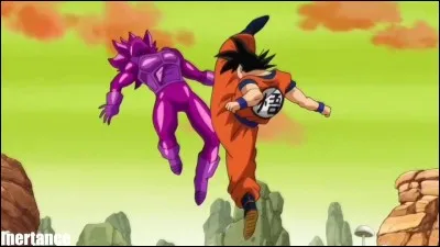 Qui est le frère de Natsu ?