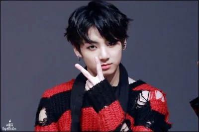 Dans quelle MV Jungkook avait-il cette tenue ?