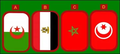 Dans quel pays se trouve la ville de Tamanrasset ?