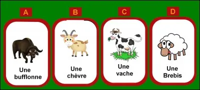 Avec le lait de quel animal est fabriqué le munster ?