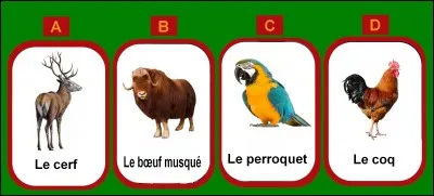 Quel nom d'animal désigne aussi un porte-manteau ?