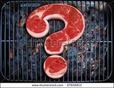 Où se situe le paleron sur un bovin ?