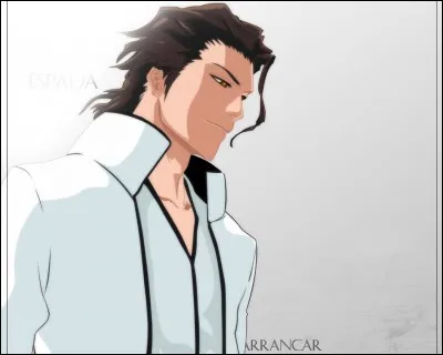 Sosuke Aizen était le capitaine de la...
