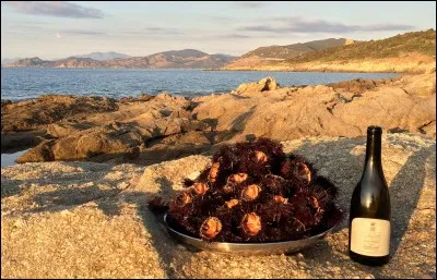 Ce n'est pas une sinécure pour les chercher et les ouvrir, mais quelle récompense pour une pause ;