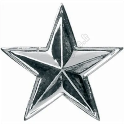 Quelle fleur est appelée "étoile d'argent" ?