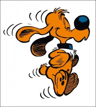 Quelque part, il a du chien.