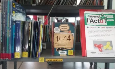 Souvent Elie mélange les mots : la confiture devient de la fonciture et le chocolat, du chacalot. Y a-t-il des livres qui pourrait l'aider à lire facilement ?