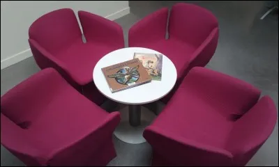 Elie est parfois hyperactive. Elle bouge tout le temps et n'arrête pas de se lever de sa chaise. A la médiathèque, sera-t-elle bien installée ?