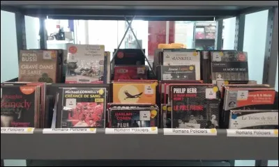 Cassandra adore les romans policier. Pourra-t-elle en trouver pour elle dans la médiathèque ?