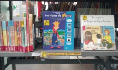 Paul aimerait bien apprendre quelques signes de LSF à son petit cousin qui vient pour les vacances. 	Y'a-t-il des livres à la médiathèque pour l'aider ?