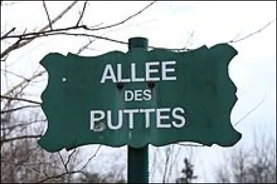 Une allée du bois de Vincennes, pour indiquer la bonne direction aux touristes !