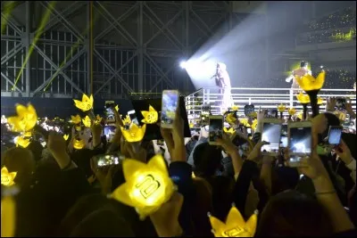 Qu'est-ce qu'un "fandom" ?