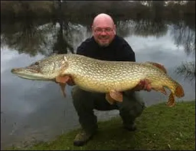 Activités estivales - Quel est le nom du poisson que cet homme a pêché ?