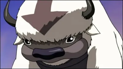 Quel mot faut-il dire pour qu'Appa d&eacute;colle ?