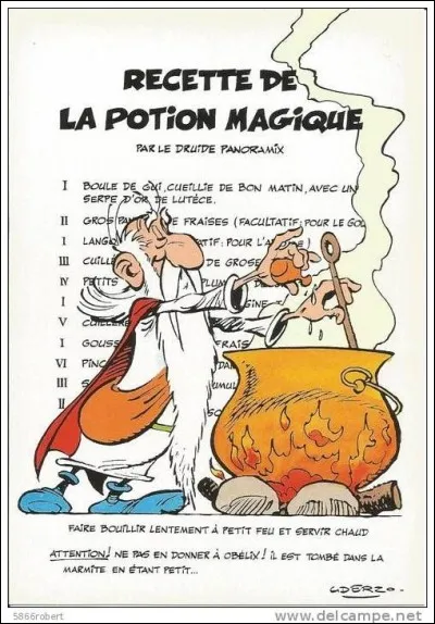 Qui est tombé dans la potion magique quand il était petit ?
