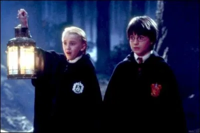 Quel est ce film réalisé par Chris Columbus avec Daniel Radcliffe ?