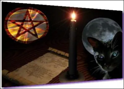 Lesquelles de ces plantes sont utilisées en magie noire ?