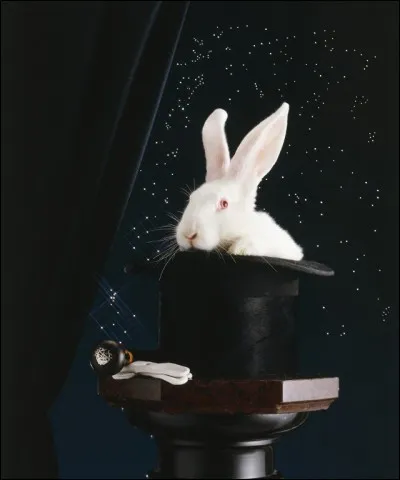 Comment s'appelle le complice de l'illusionniste qui se trouve parmi le public, et dont l'homonyme désigne une pièce d'agneau ?