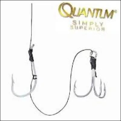 C'est un montage pour pêcher le/la...